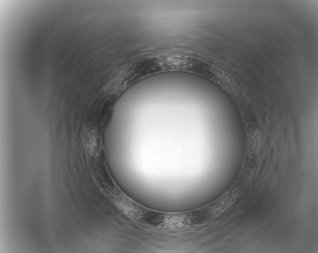 X0000059810709200510241355