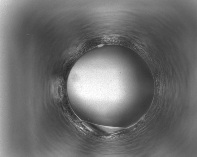 X0000059810712200510241355