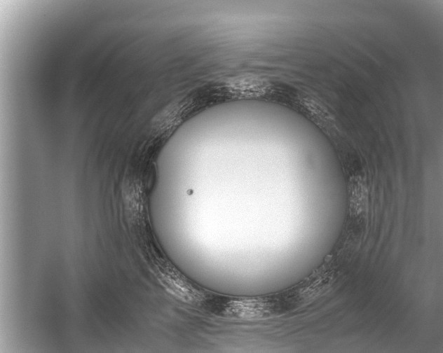 X0000059810713200510241355