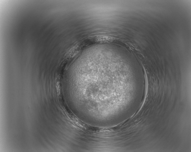 X0000059810716200510241355