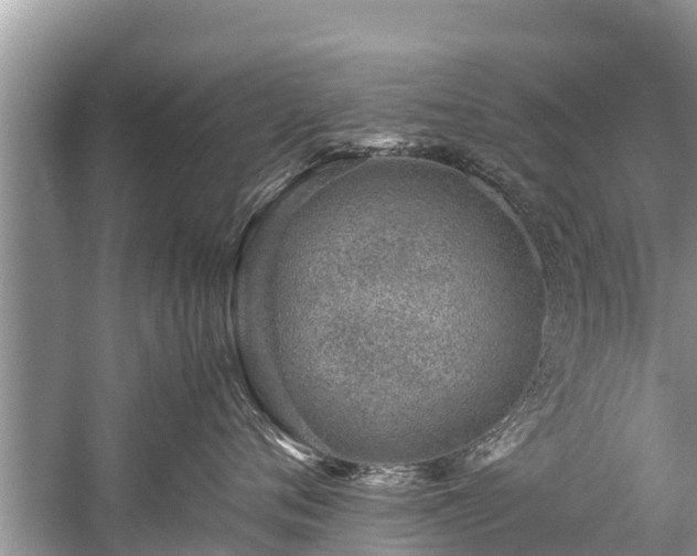 X0000059810720200510241355