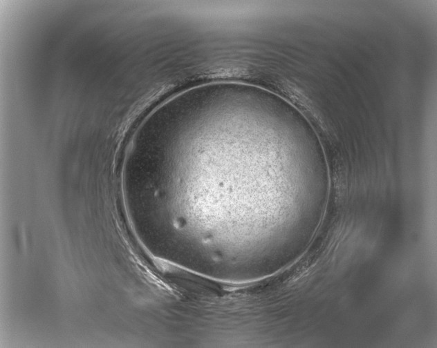 X0000059810721200510241354