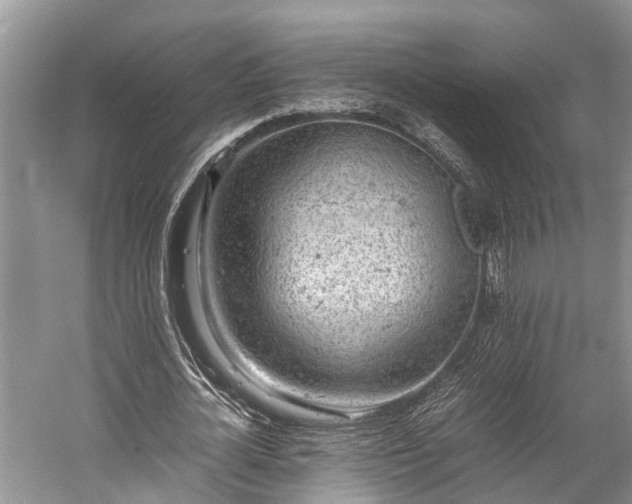 X0000059810724200510241354