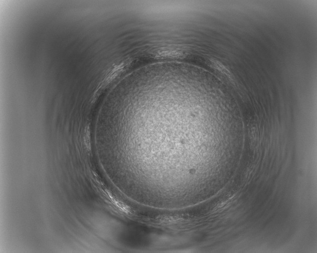 X0000059810729200510241354