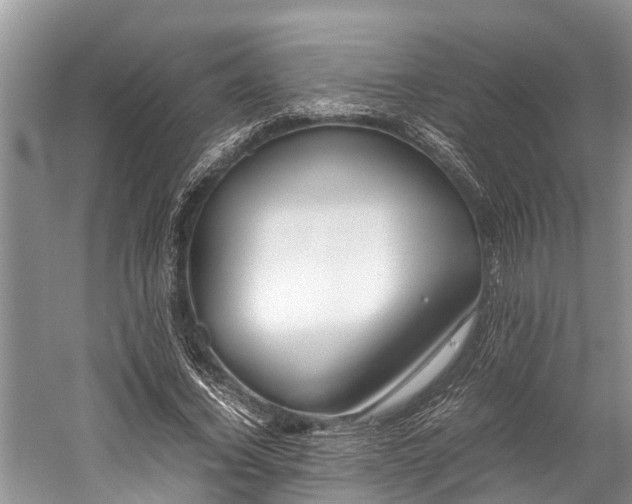 X0000059810732200510241355