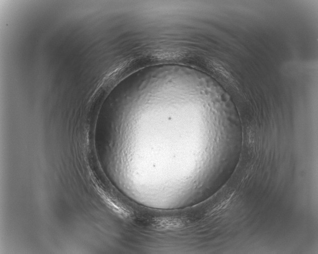 X0000059810733200510241355