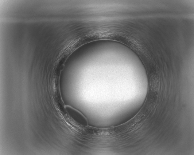 X0000059810740200510241355