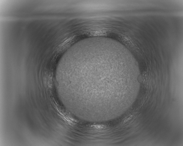 X0000059810741200510241355