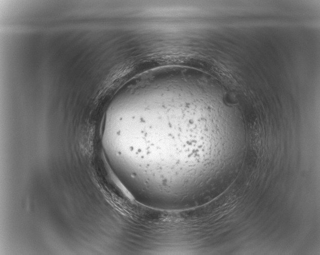 X0000059810742200510241355