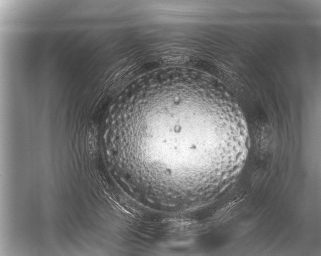 X0000059810745200510241355