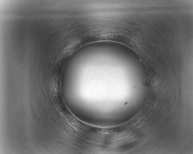 X0000059810746200510241355