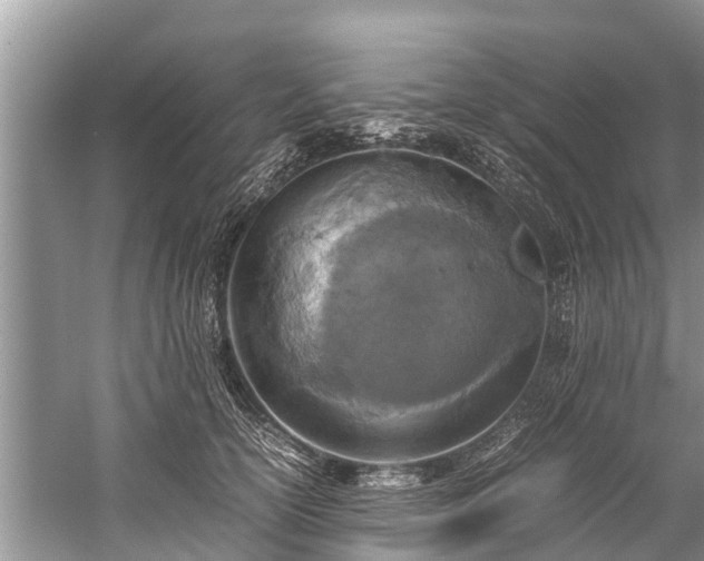 X0000059810754200510241355