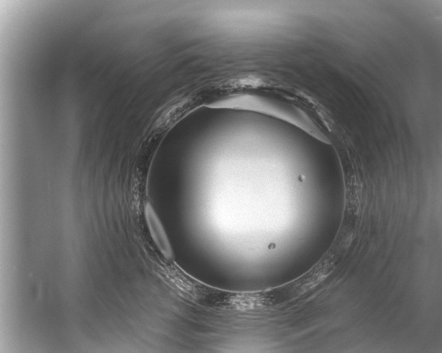 X0000059810762200510241355