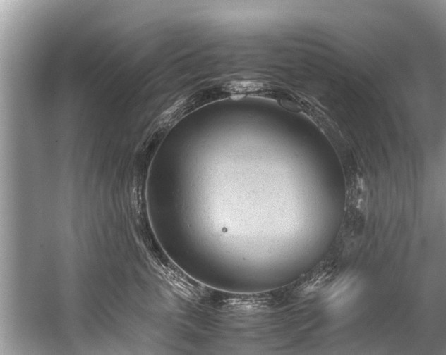 X0000059810763200510241355