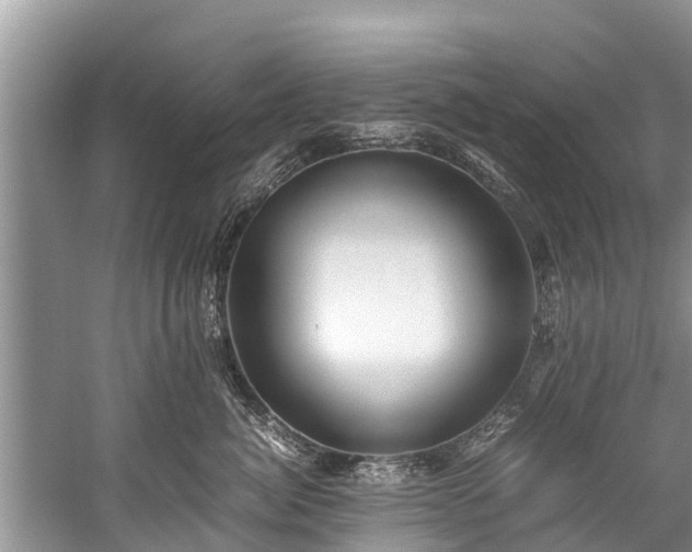 X0000059810764200510241355