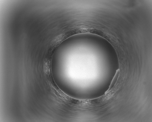 X0000059810768200510241355