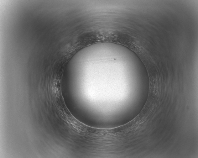 X0000059810770200510241354