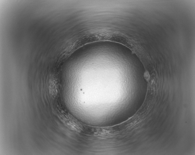 X0000059810772200510241354