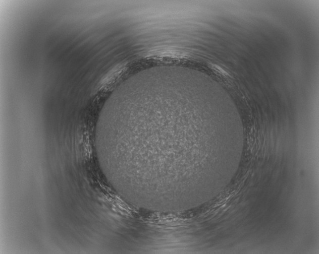 X0000059810774200510241354