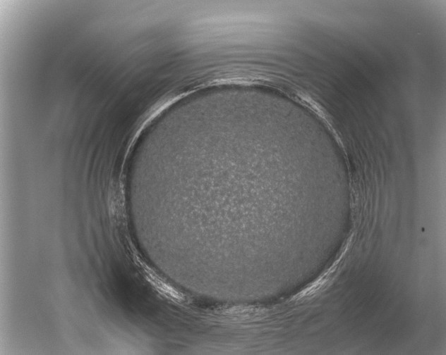 X0000059810779200510241354