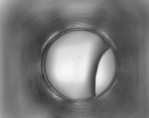 X0000059810780200510241354