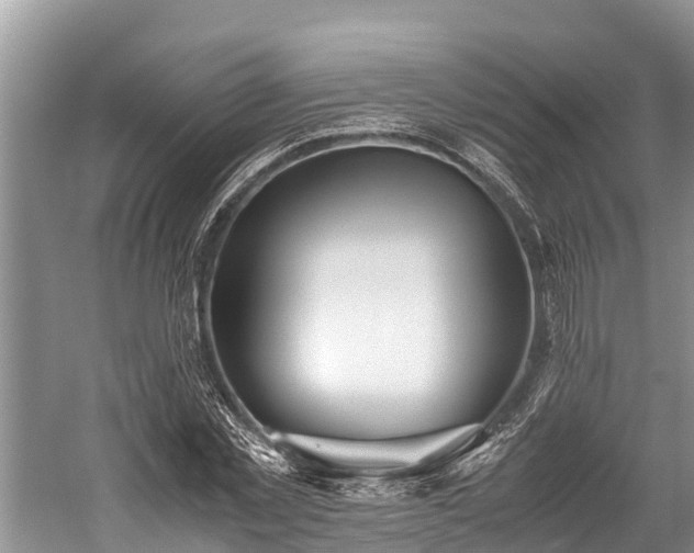 X0000059810781200510241354