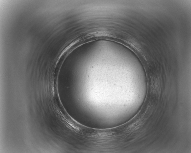 X0000059810782200510241354