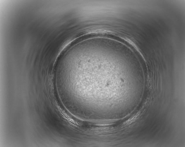 X0000059810783200510241354