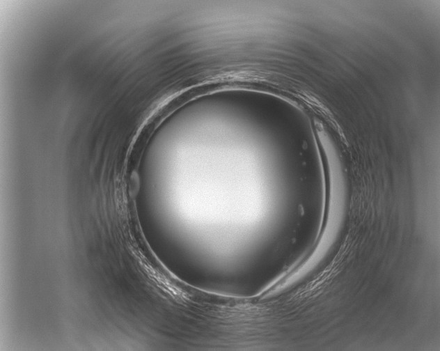 X0000059810784200510241354