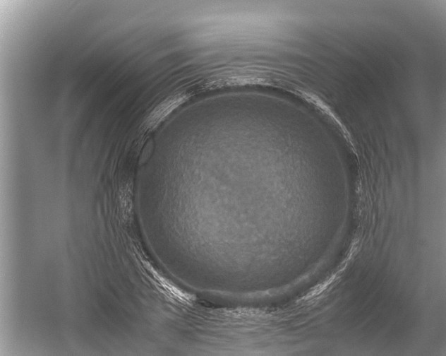 X0000059810785200510241354