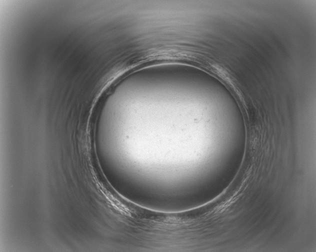 X0000059810787200510241354