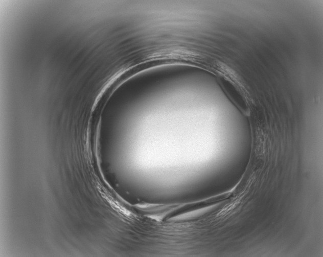 X0000059810788200510241354