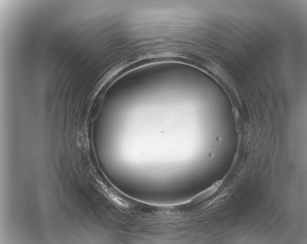 X0000059810789200510241354