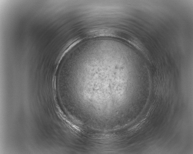 X0000059810790200510241354