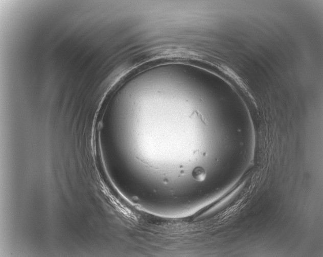 X0000059810791200510241354