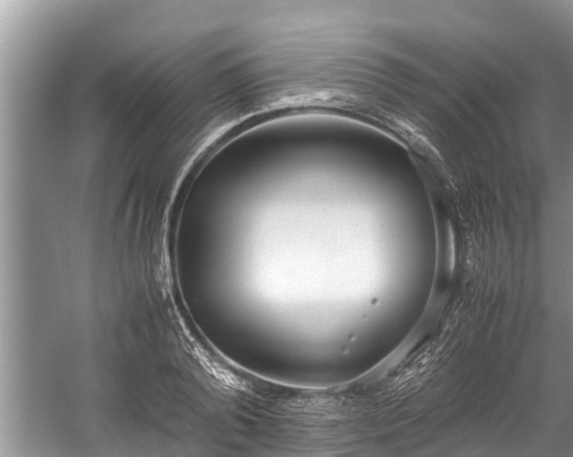 X0000059810792200510241354