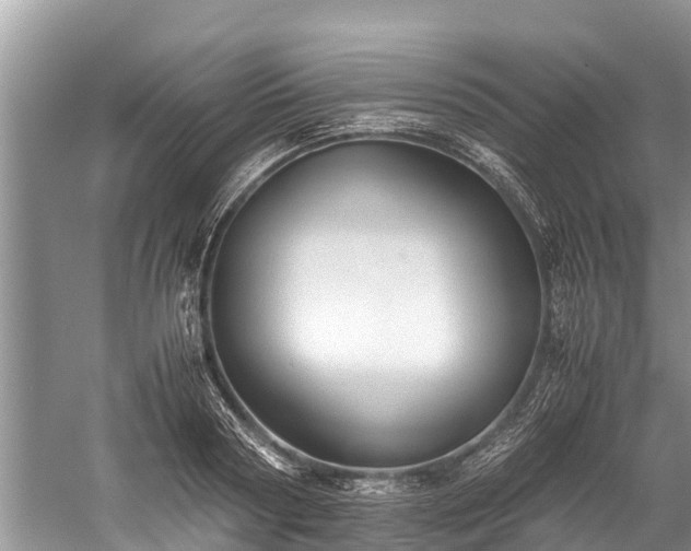 X0000059810794200510241354