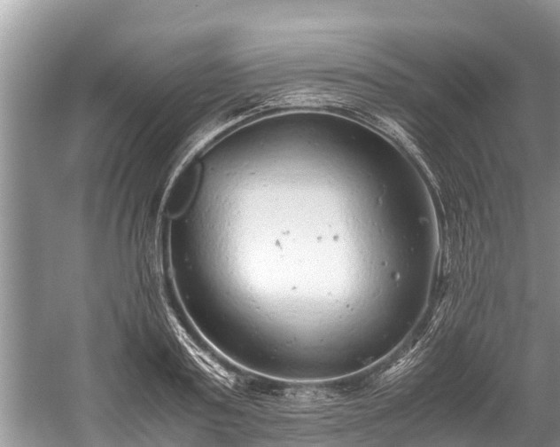 X0000059810795200510241354