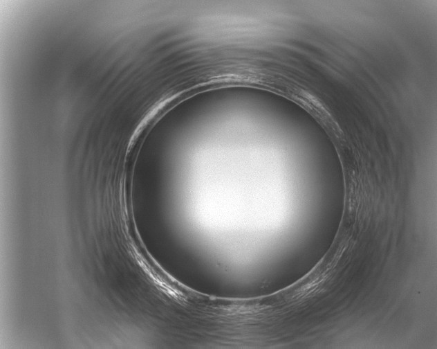 X0000059810796200510241354