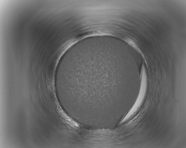 X0000059810797200510241354