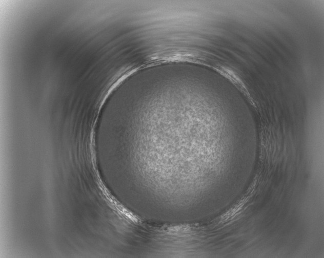 X0000059810798200510241354