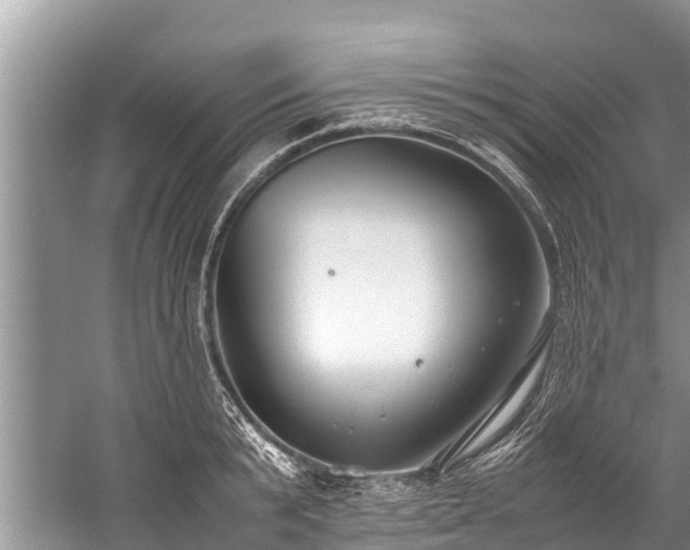 X0000059810799200510241354