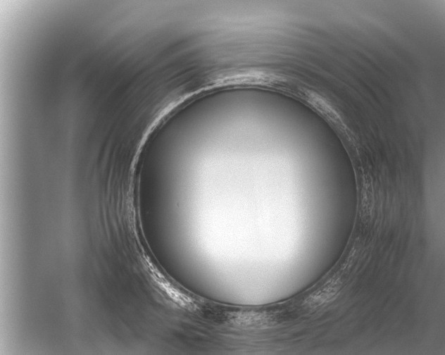 X0000059810800200510241354