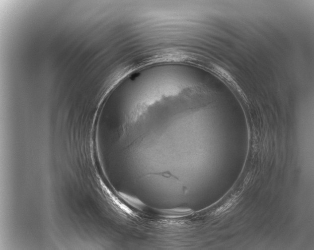 X0000059810802200510241354