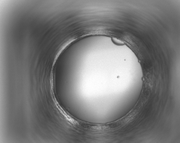 X0000059810804200510241354