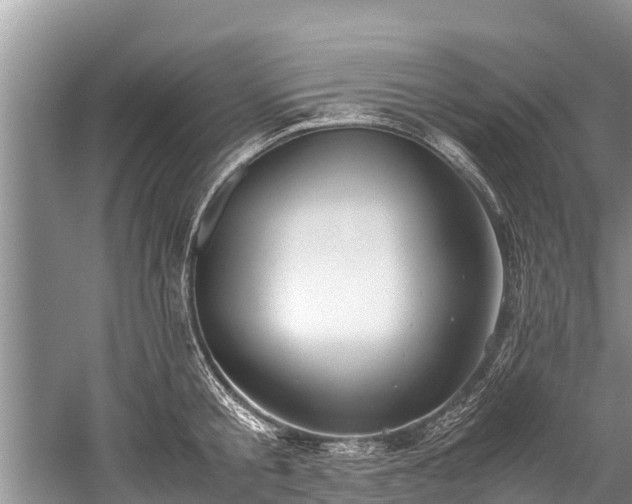 X0000059810805200510241354