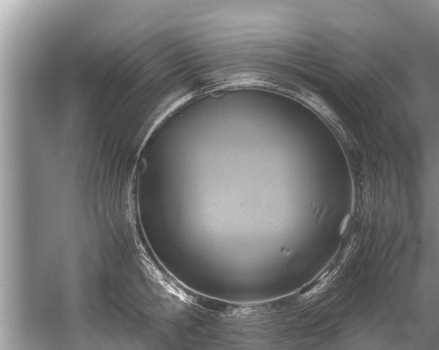 X0000059810806200510241354