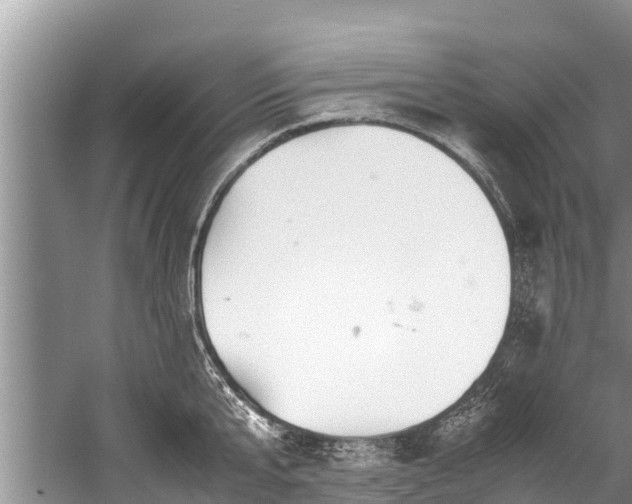 X0000059810807200510241354