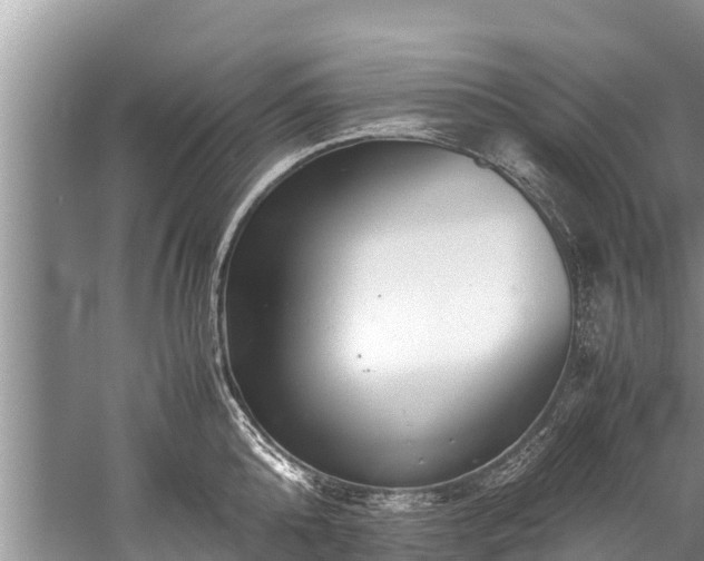 X0000059810808200510241354