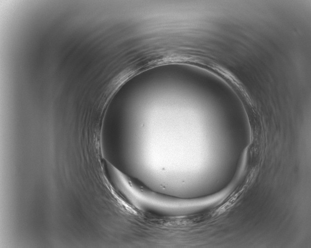 X0000059810809200510241354